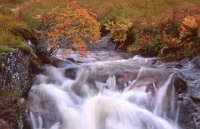 683 - CATARACT IN GLEN SHIEL - GILKERSON JOHN - united kingdom <div